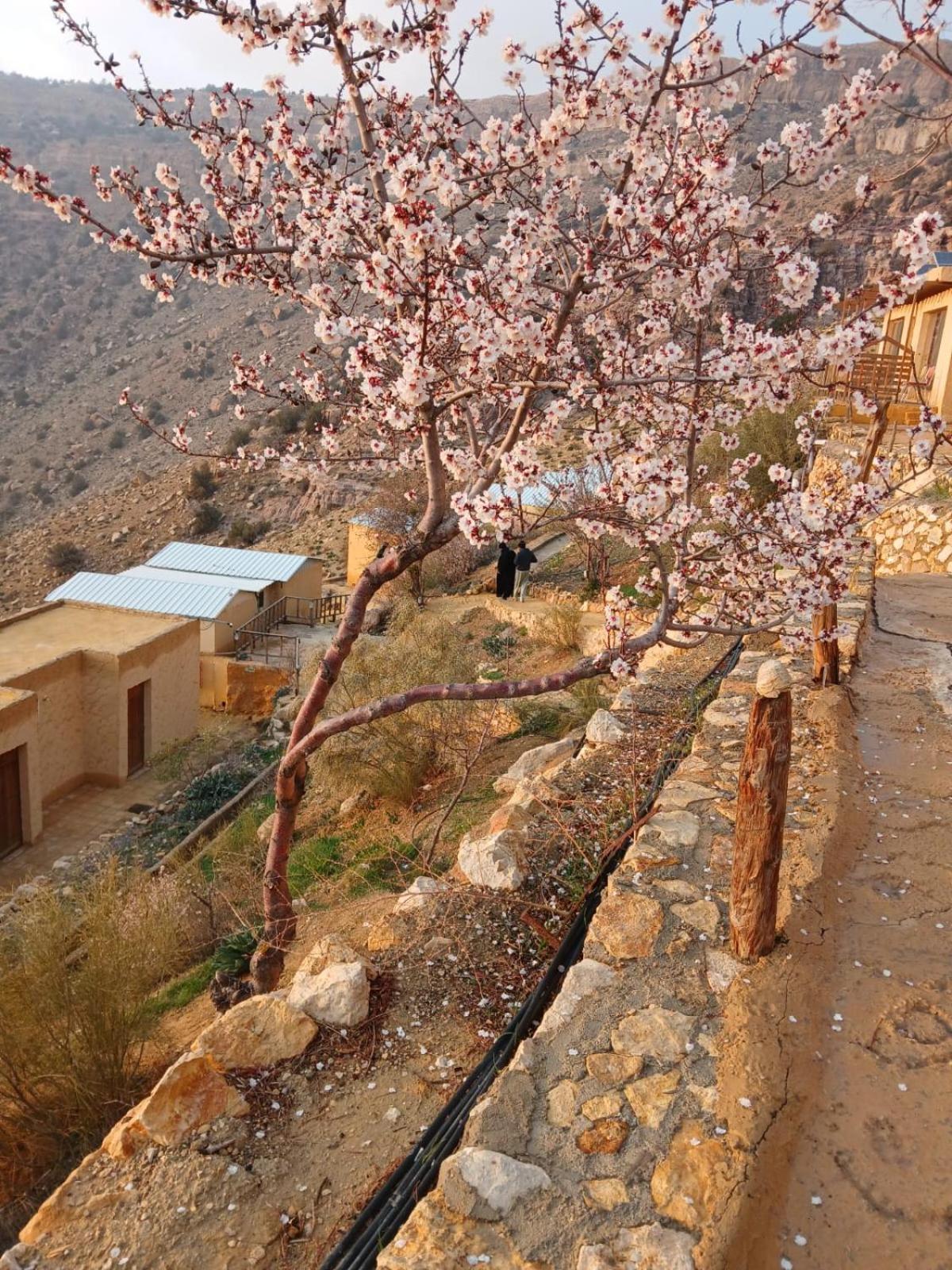 Dana Village Camp-Wadi Dana Eco Camp Exterior foto